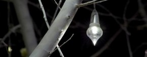 G.M. LIGHT